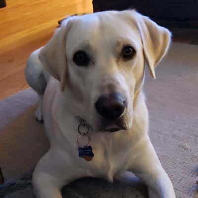 BlakeGantt's profile picture. 