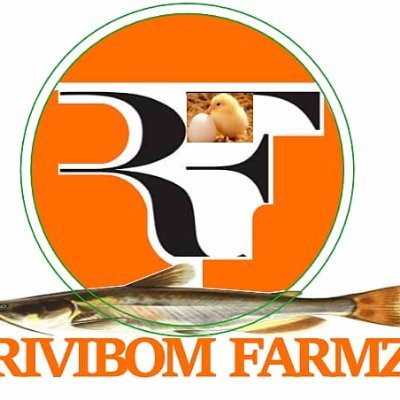 RivibomF's profile picture. -Wholesale and retail delivery of fresh catfish. 
-Wholesale and retail delivery of smoked and dried catfish.
-Point and kill.
-Broilers, layers & quality eggs