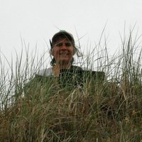 Judy Shamoun-Baranes (@baranesjudy) 's Twitter Profile