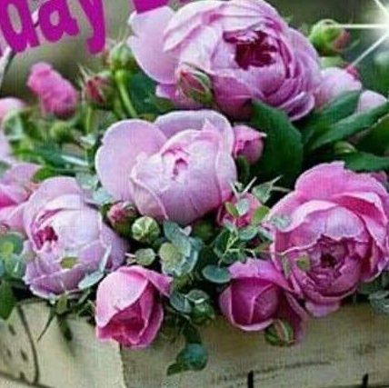 tejinde49686961's profile picture. asst