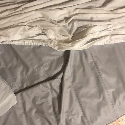 11mep11's profile picture. 