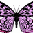 uznco's profile image