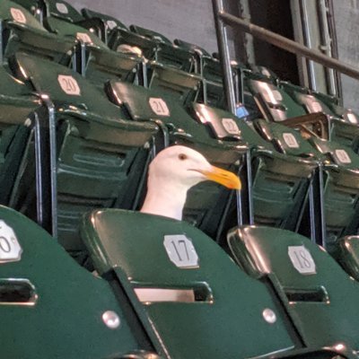 maca_snakaroons's profile picture. Enthusiast of baseball, puns, and the Oxford comma.