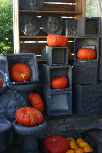 GroeneVakwinkel's profile picture. Sinds 1 maart 2011 verhuisd naar Roterij 15 Burgh-Haamstede. Een locatie waar je als tuinliefhebber je hart kunt ophalen. Alles wat je tuin nodig heeft.