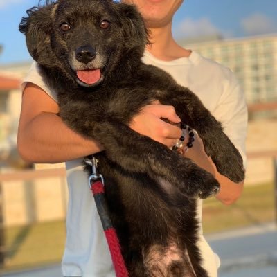 xaomakomako's profile picture. 