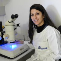 Alessandra Donato 🇮🇹 (@alepid) Twitter profile photo