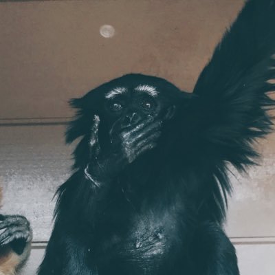 はせがわさんのプロフィール画像