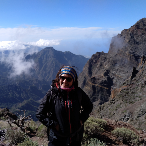 Mantle geochemist and chilean wandering around the world.