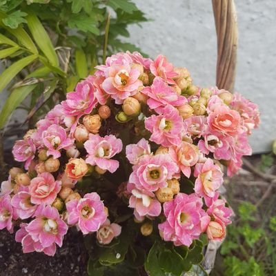 yemosh1's profile picture. A lover of God, nature, and people.