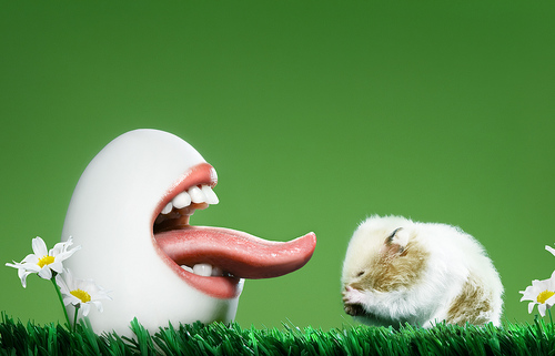 RandomRaving's profile picture. I am everything i need to be