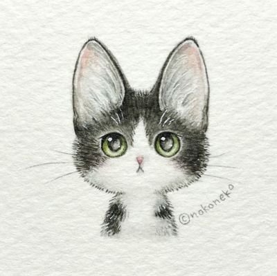 きゃん。 (@kyanxx) / Posts / X