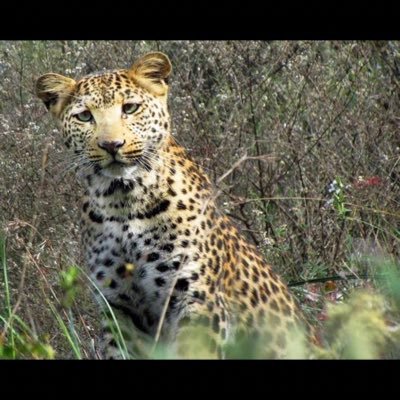 moooj_tofan's profile picture. #براندازم.....عاشق ایران و ایرانی#اتحاد اتحاد