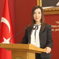 Av. Hibe Gökalp (@hibegokalp) Twitter profile photo