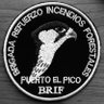 brifpuertopico's profile picture. Brigada de Refuerzo en Incendios Forestales perteneciente a @mitecogob #IIFF #BRIF #BLP #RXFIRE