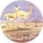 MudhaibiNews's profile image