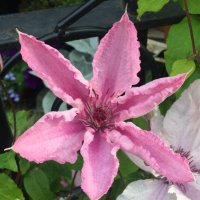 amanda adamson (@amandaa38143211) 's Twitter Profile