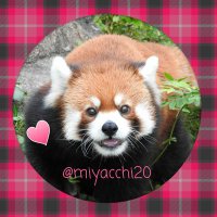 ∞MIYA∞(@miyacchi20) 's Twitter Profile Photo