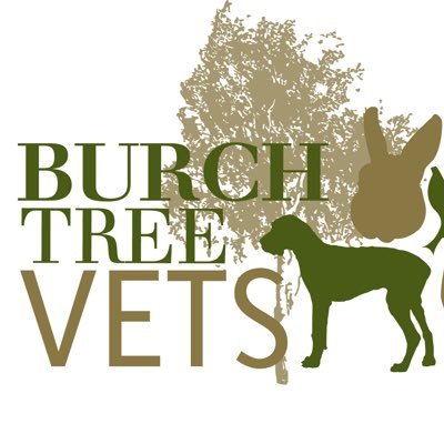 Proud to offer the best care for your best friend 🐾🐾