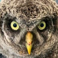 Hanker and Chief π΅πΈπππ΅πΈππ (@nicelynabil) 's Twitter Profile Photo Hanker and Chief π΅πΈπππ΅πΈππ (@nicelynabil) 's Twitter Profile Photo