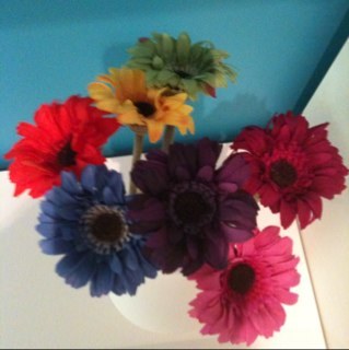 ev_arc_en_ciel's profile picture. Allez suivre mon nouveau compte twitter @kimsanterre puisque celui-ci ne sera plus actif sous peu! :)