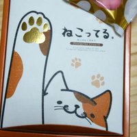 ねこす🦈 (@nekono_ban_desu) 's Twitter Profile Photo ねこす🦈 (@nekono_ban_desu) 's Twitter Profile Photo
