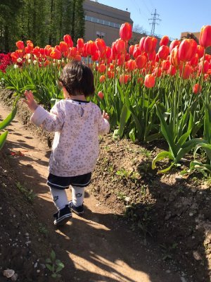 趣味は読書、映画鑑賞、ランニング(封印中)です。7歳女児、子育て中の母ちゃんです。百田尚樹先生大好き。有本香さん大尊敬。あさ8大好き!保守党党員☆よろしくお願いします(^-^)