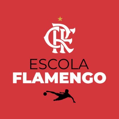 Perfil Oficial da Maior Rede de Escolas de Futebol do Mundo.  Projeto Oficial do Clube de Regatas do Flamengo