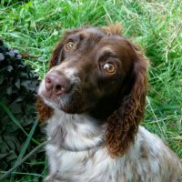 Mo-Jo (@mojo67859198) 's Twitter Profile