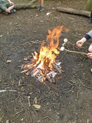 Forest School at Highfields Academy Nantwich
Instagram: forestschoolhighfields