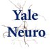 Yale Neuroscience (@yaleneuro) Twitter profile photo Yale Neuroscience (@yaleneuro) Twitter profile photo