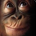 Marco - @MarcoCazares - Twitter