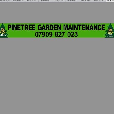 Garden maintenance, treework, fencing, patios, lawn care, pressure washing, weed and moss control, planting etc. Private  and commercial. Call Paul 07909827023