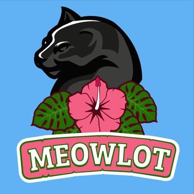 | Nick: Meow/Flower | Discord: https://t.co/hZe9sIR44a | More info found on header! |