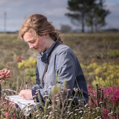 UoBristol PhD - do honeybees compete with wild pollinators? Heathlands, pollinators, network ecology 🐝🌿🕸️ Working in Scotland and South Africa. @SWBio_DTP