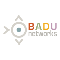 Badu Networks(@BaduNetworks) 's Twitter Profile Photo