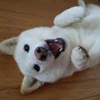 宮原弘和 (@hiro_daifugo) 's Twitter Profile Photo 宮原弘和 (@hiro_daifugo) 's Twitter Profile Photo