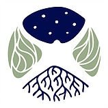 Sovereign Bodies Institute (@safensovereign) 's Twitter Profile