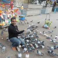 Rajesh B (@cherukurrajesh) 's Twitter Profile