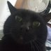 Mupje (@mupje3) Twitter profile photo Mupje (@mupje3) Twitter profile photo