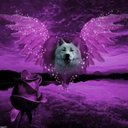 Roxanne Locke - @LockeRoxanne - Twitter