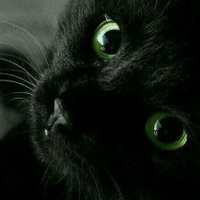 I like cats³³°¹(@sxcsoho) 's Twitter Profile Photo