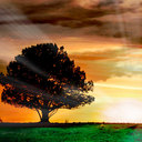 Jason Litke - @WholisticApproa - Twitter