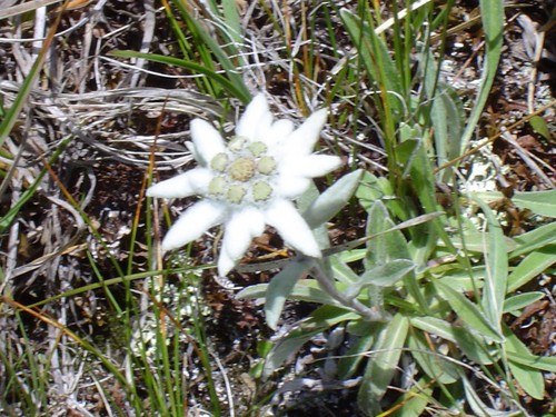 Unamuno53's profile picture. Bénévole d'associations