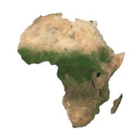 Google Africa MM (@googleafricamm) 's Twitter Profile