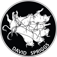 DAVID SPRIGGS - @davidspriggsart Twitter Profile Photo