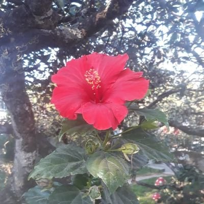Creo en México, en los mexicanos honestos y trabajadores, fieles a sus principios y creencias.