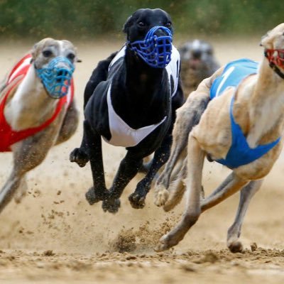 club_tweeters's profile picture. 