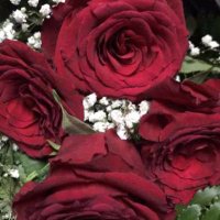 💖 (@b32929475) 's Twitter Profile Photo 💖 (@b32929475) 's Twitter Profile Photo