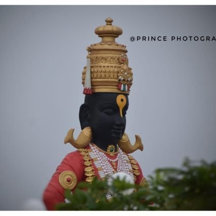 MlmSwapnil's profile picture. Trading in crypto