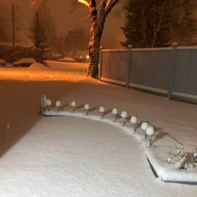 sukhpal49935625's profile picture. 